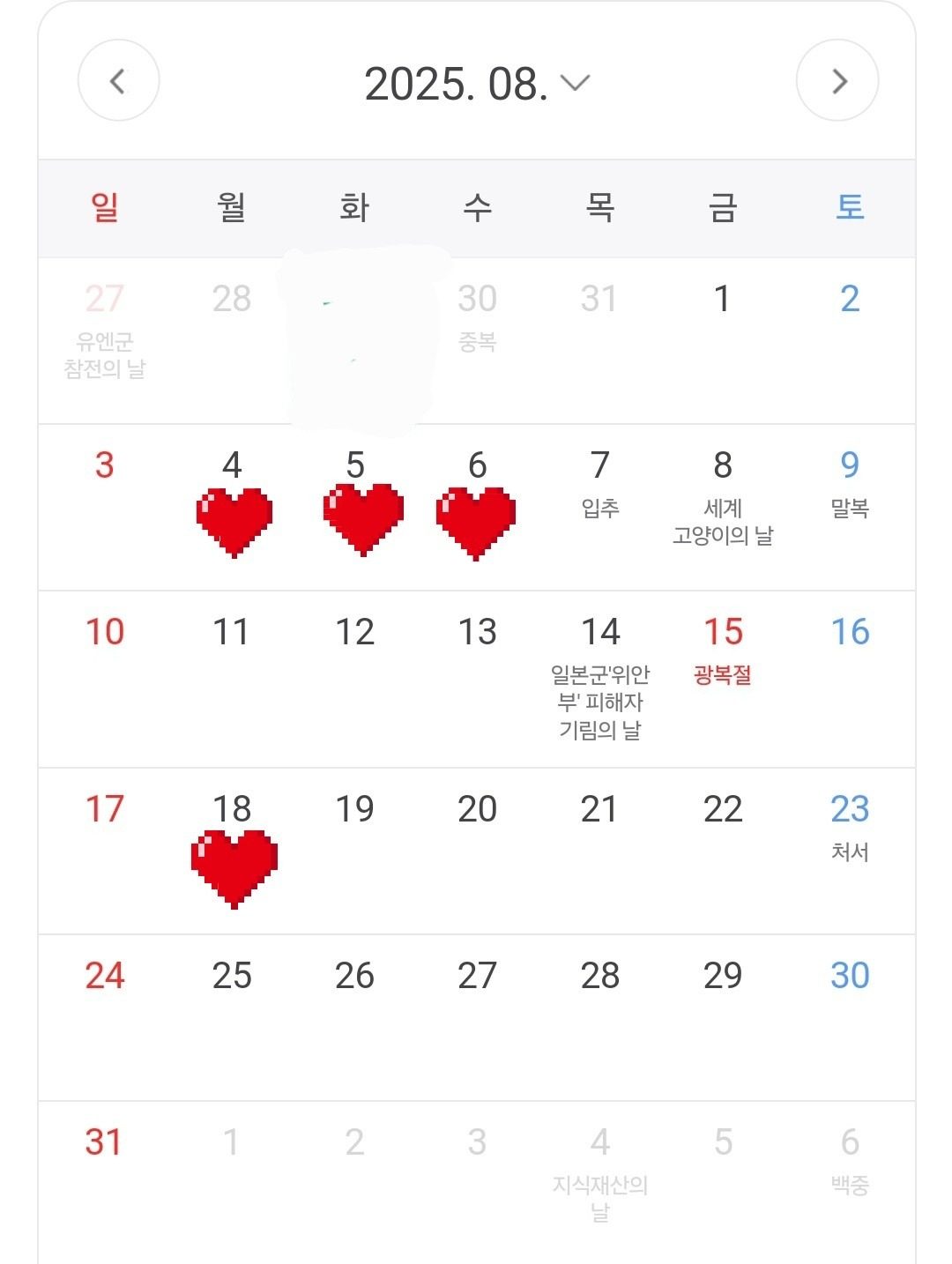 8월 휴무&휴가안내 📢 (8/4~8/6휴가)