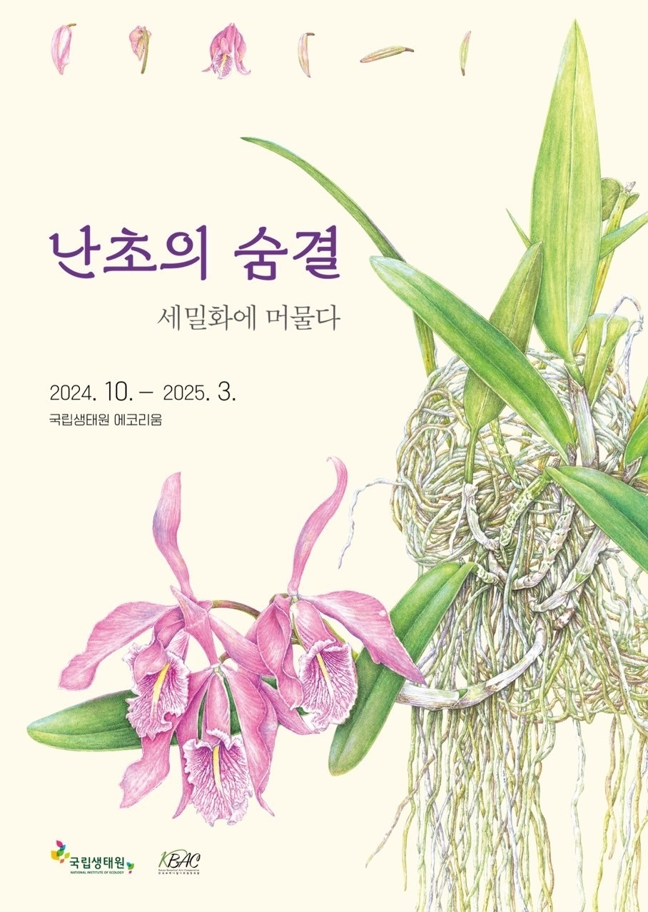 제주식물그림 Botanicalart picture 6