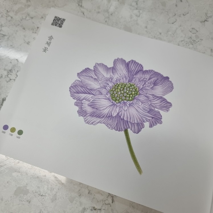 제주식물그림 Botanicalart picture 5