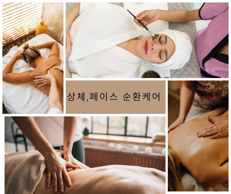 상체 토탈 순환케어 이벤트