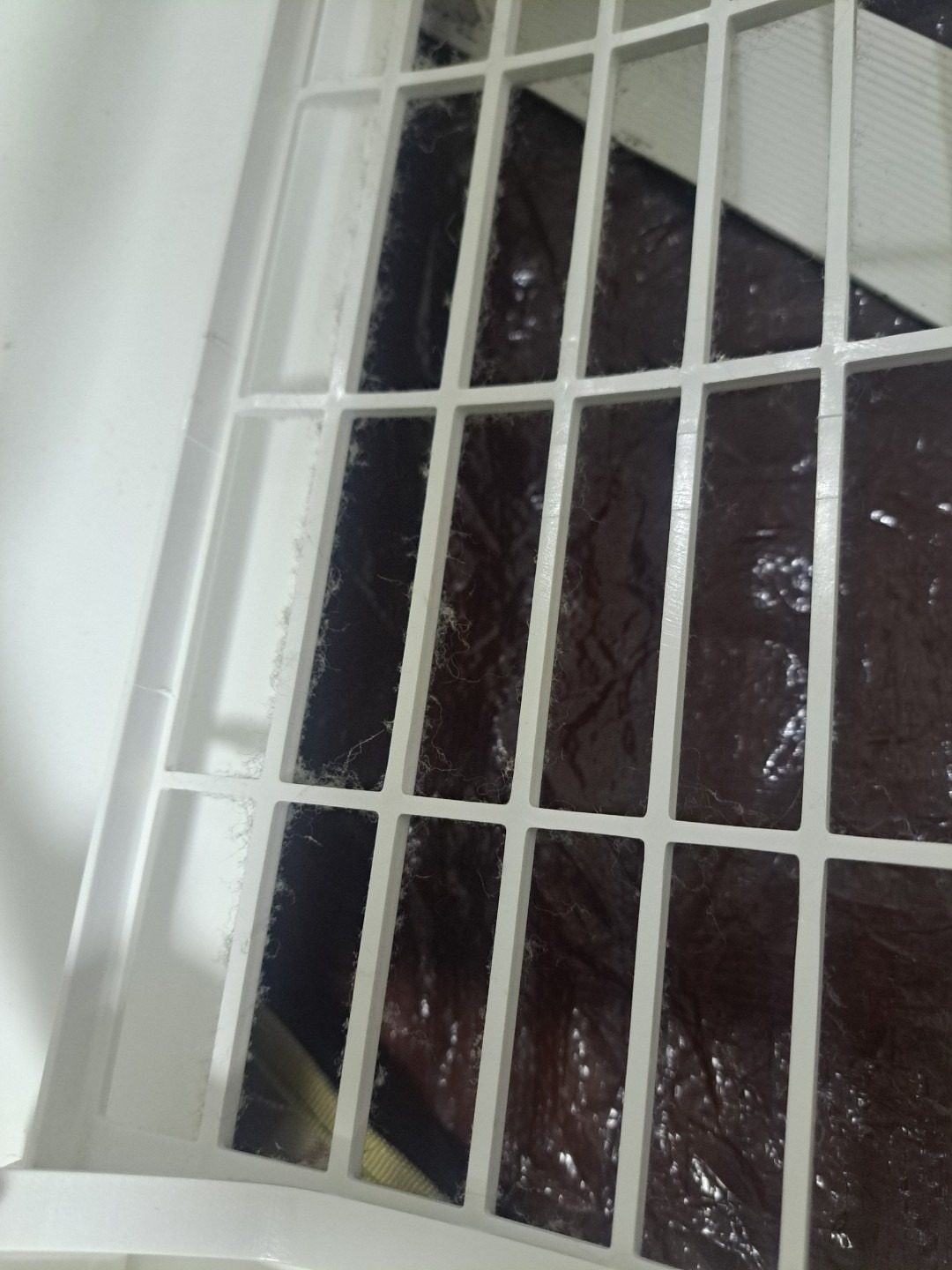 망미동 윈룸 벽걸이 청소로 반려동물도 깨끗한 공기가 좋다고 하네요~