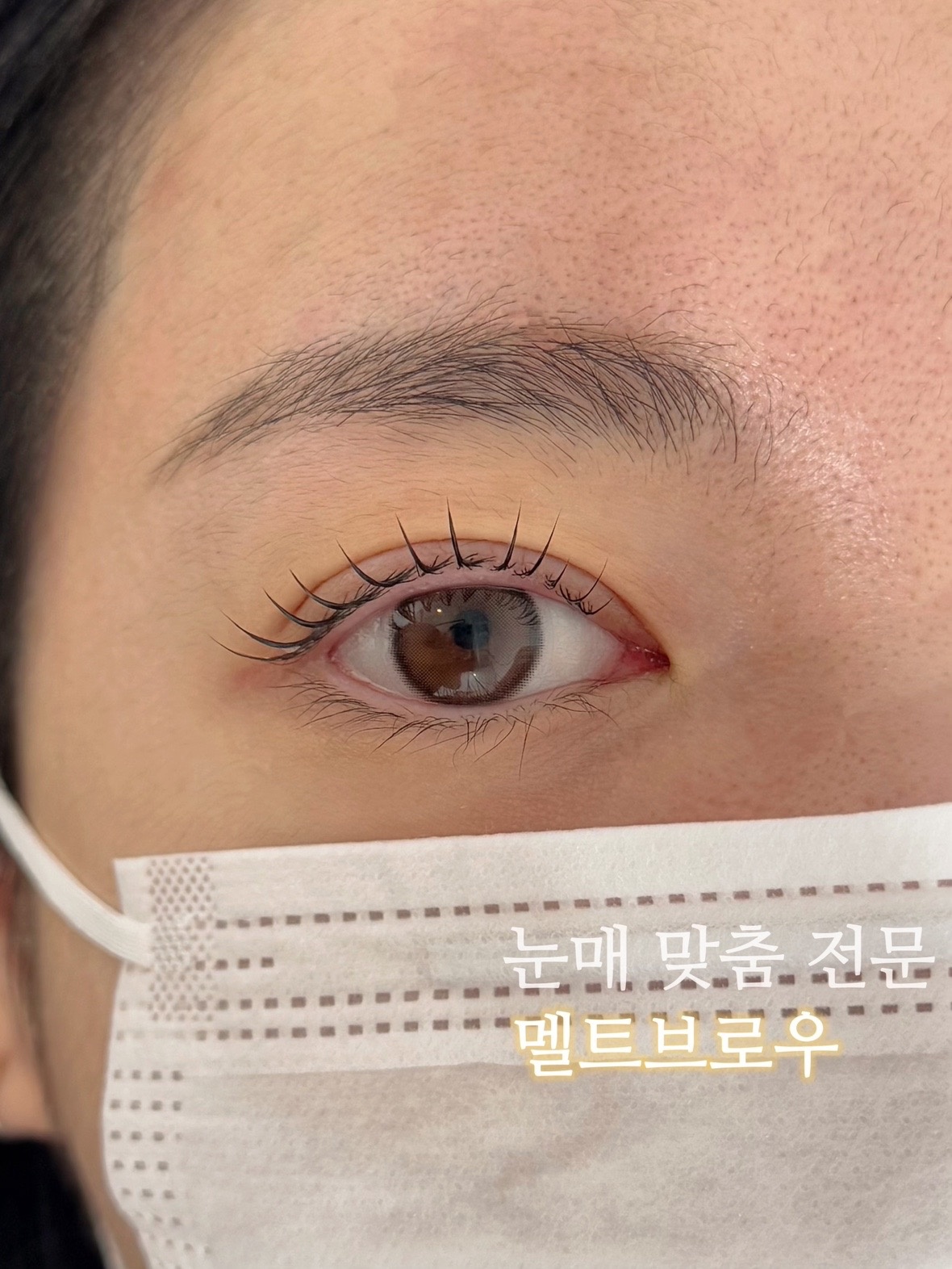 멜트브로우 picture 7