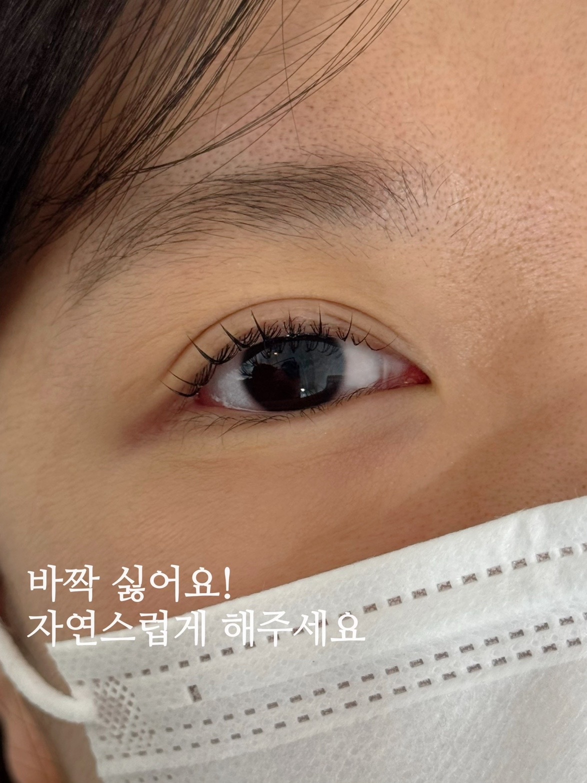 멜트브로우 picture 8