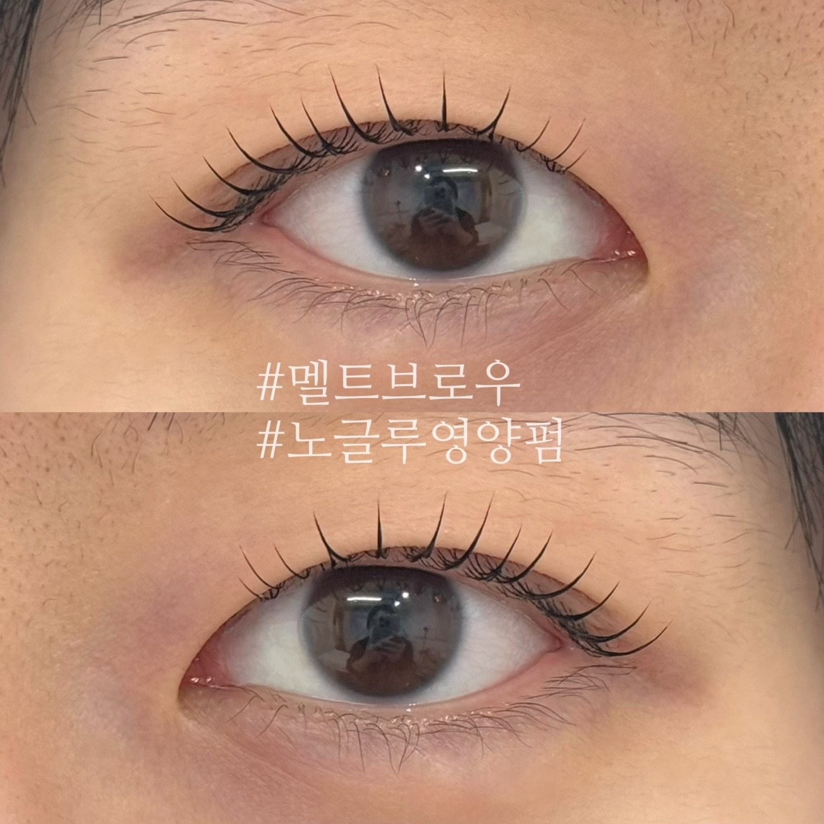 멜트브로우 picture 9