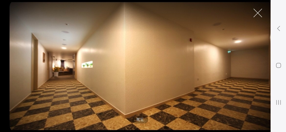 브이아이피 picture 7