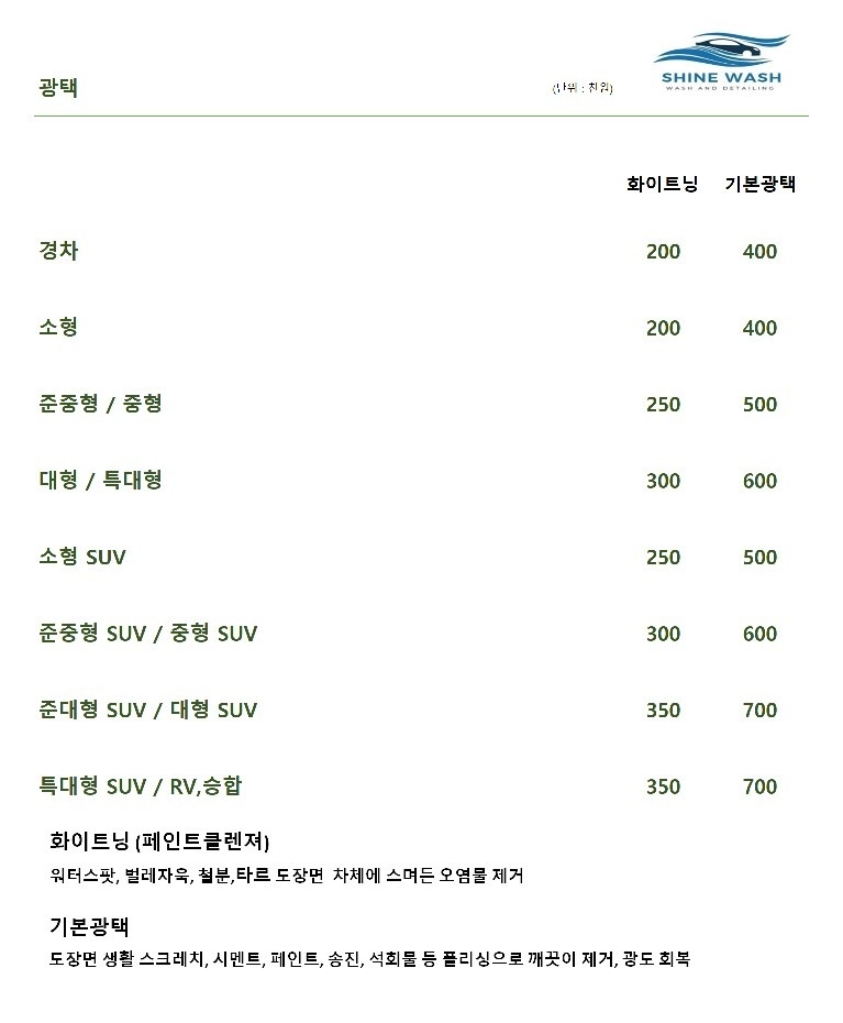 샤인워시출장스팀세차 picture 2