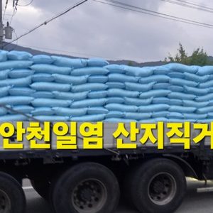 신안천일염  초저가 판매!