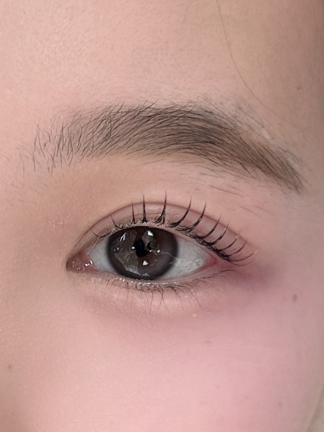 이로 picture 0