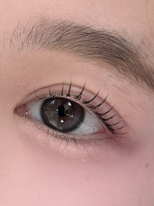 💬속눈썹 펌 모델구합니다🩷