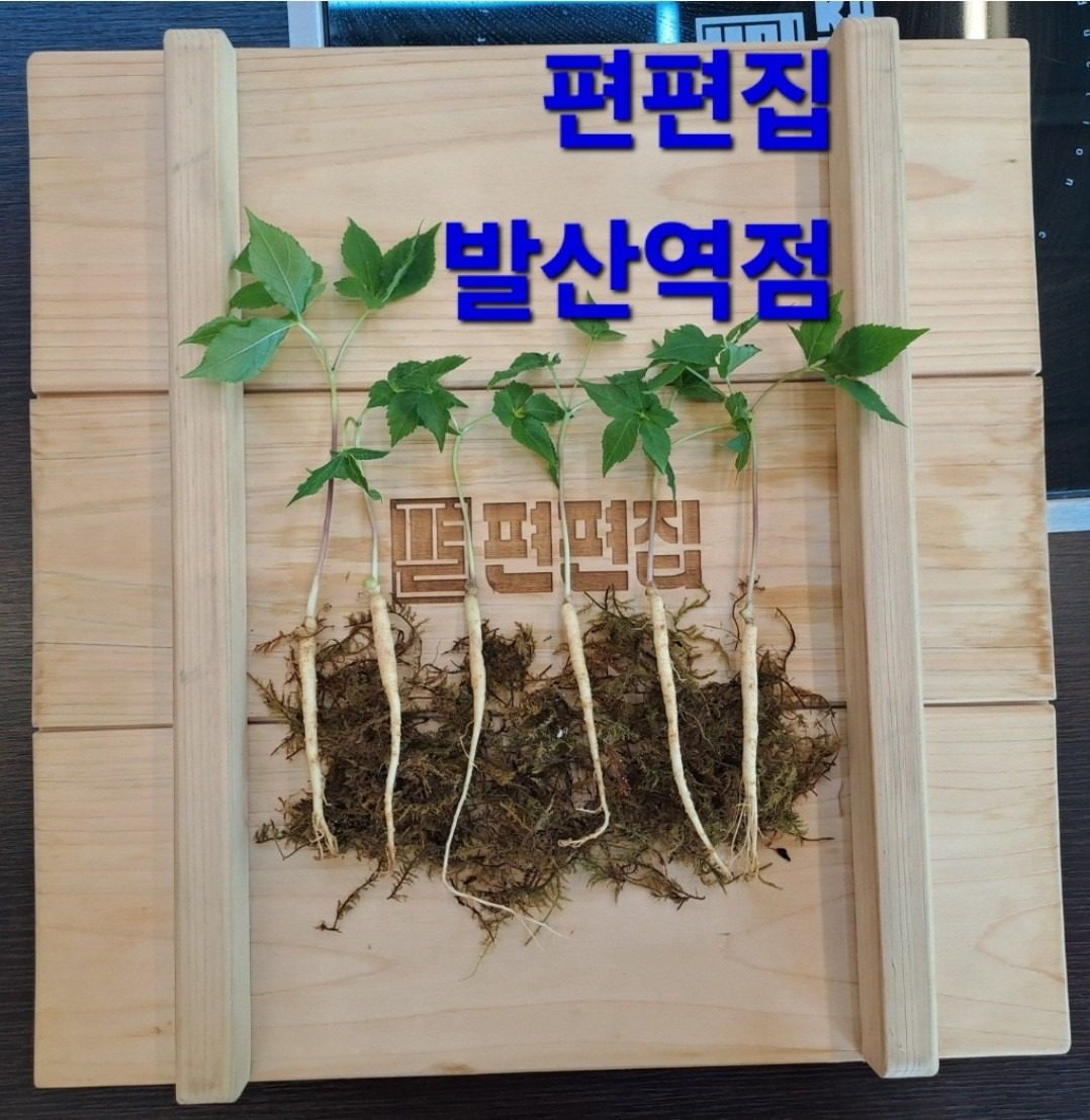 편편집 발산역점 인삼 한뿌리 이벤트~!!