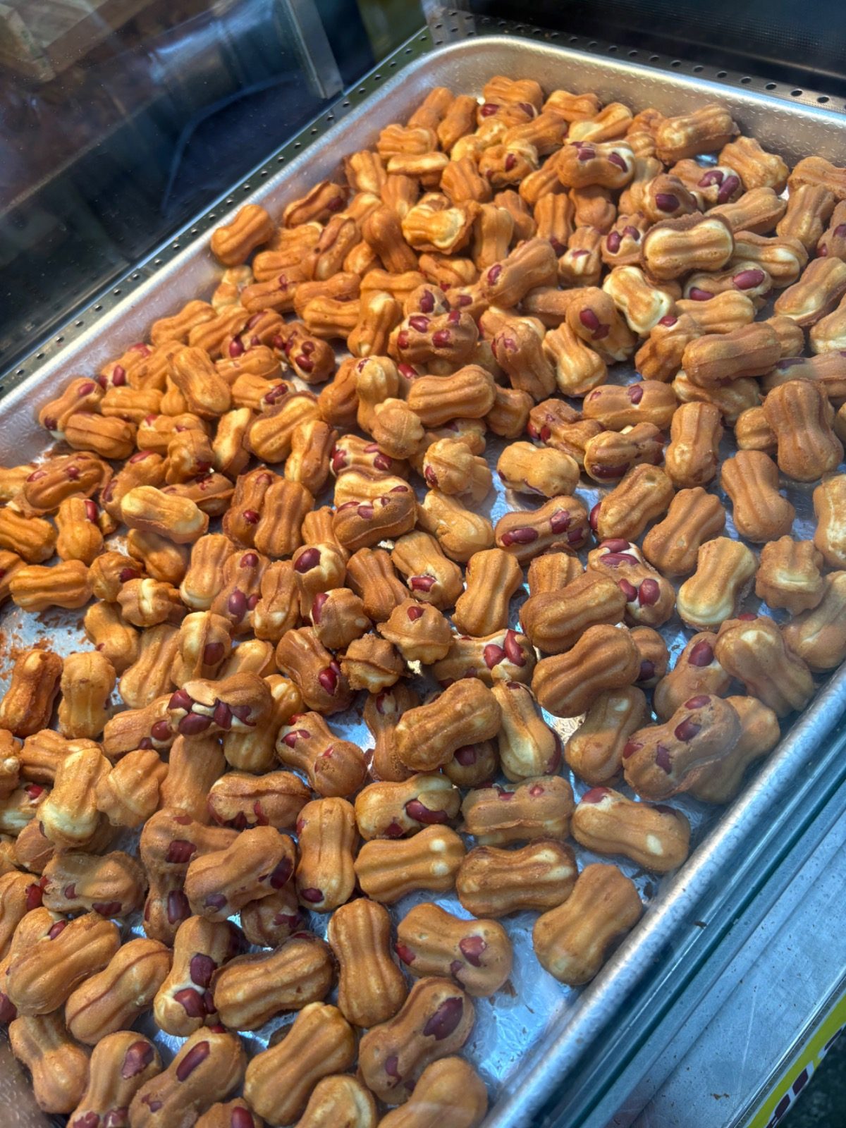 옹기종기 땅콩빵 ✨