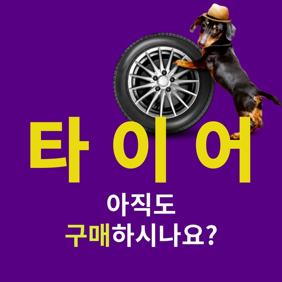 한달 4,000원으로 타이어 교체 + 휠얼라인먼트까지!