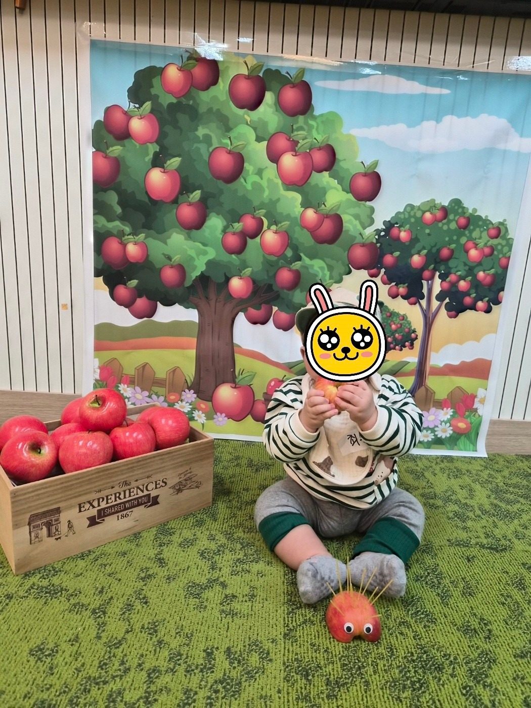 웅진 문센 일정 안내드려요~
