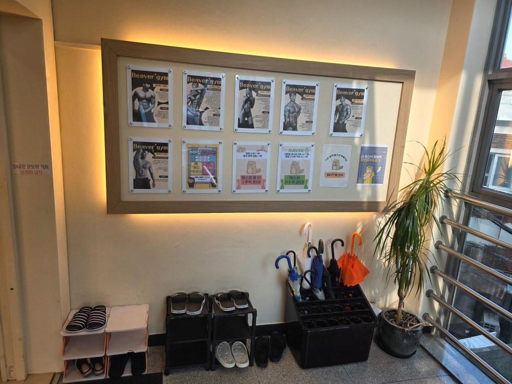 비버짐 picture 5
