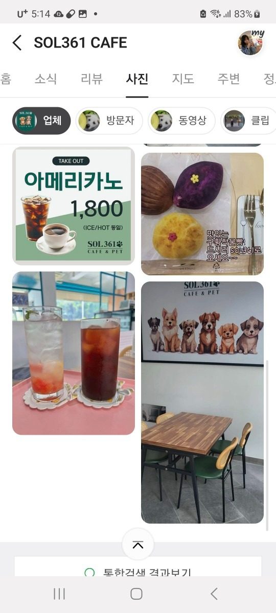 SOL361 CAFE&PET 애견놀이터