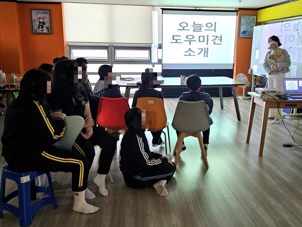 토닥토닥 애견방문훈련 picture 5