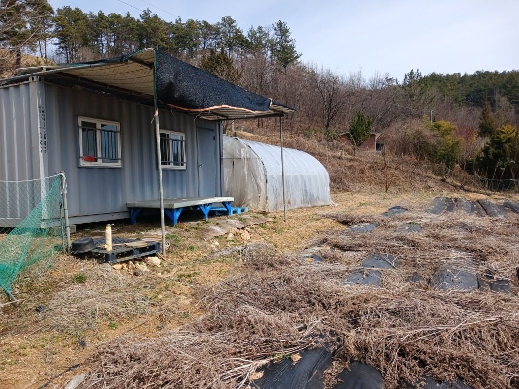 300평 세종 30분 이내 1억2천