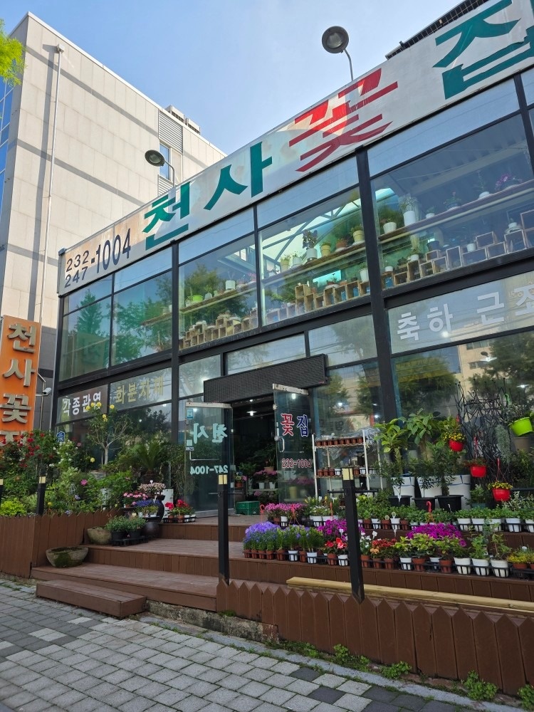 천사꽃마트(꽃집) picture 0