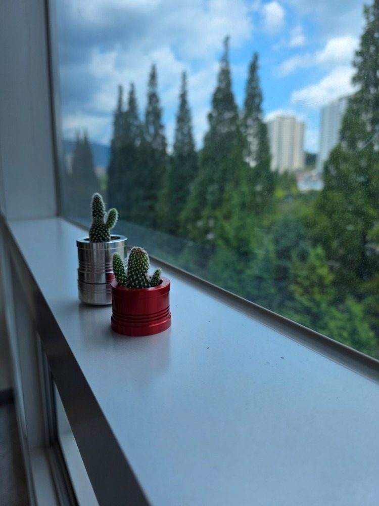 향기로운 차량 방향제 판매중! ✨
