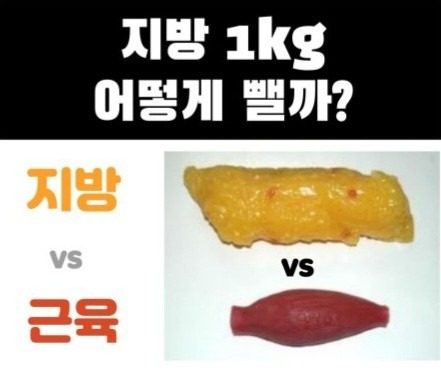 📣1kg빼기 체험단 모집   