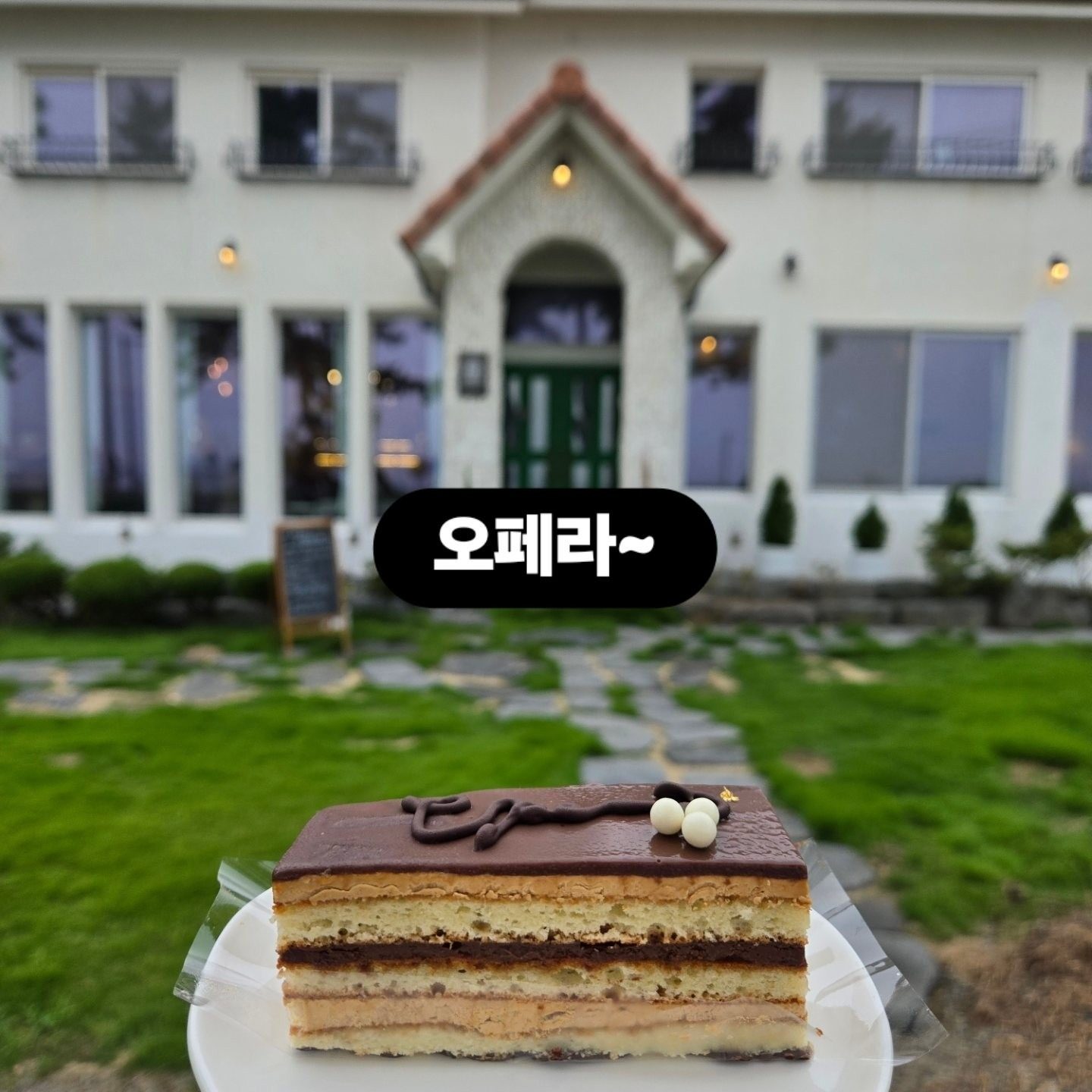 2025.8.9 아이리스 리본 오페라 선보입니다♡
