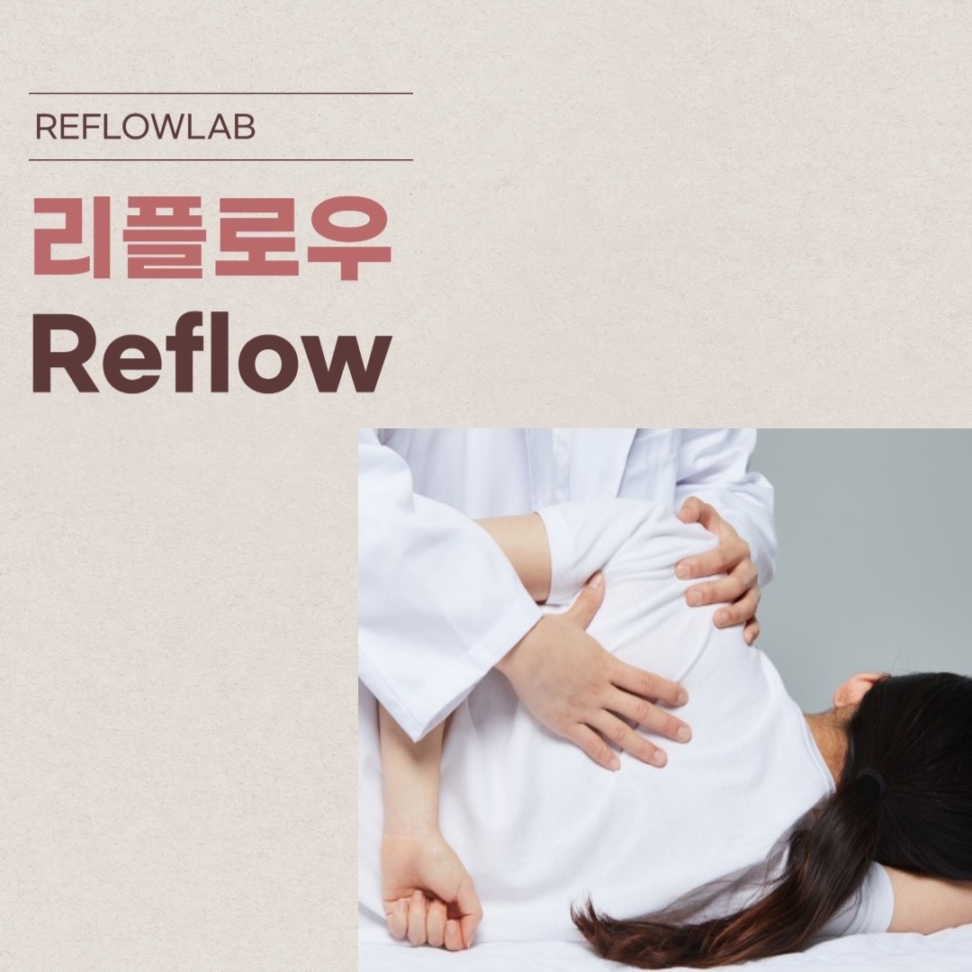 리플로우랩 picture 3