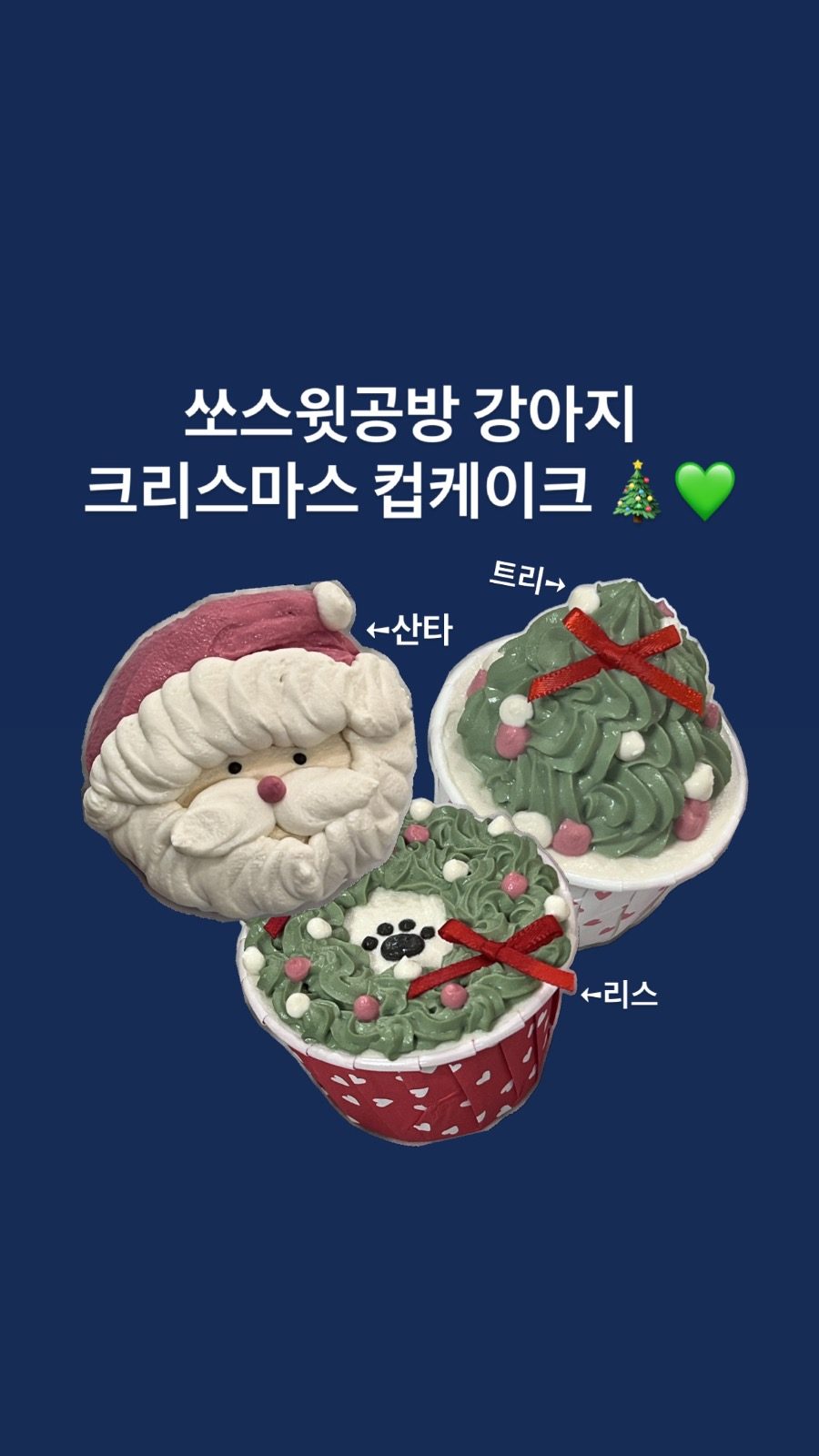 판교 강아지 크리스마스 컵케익 주문🎄💚