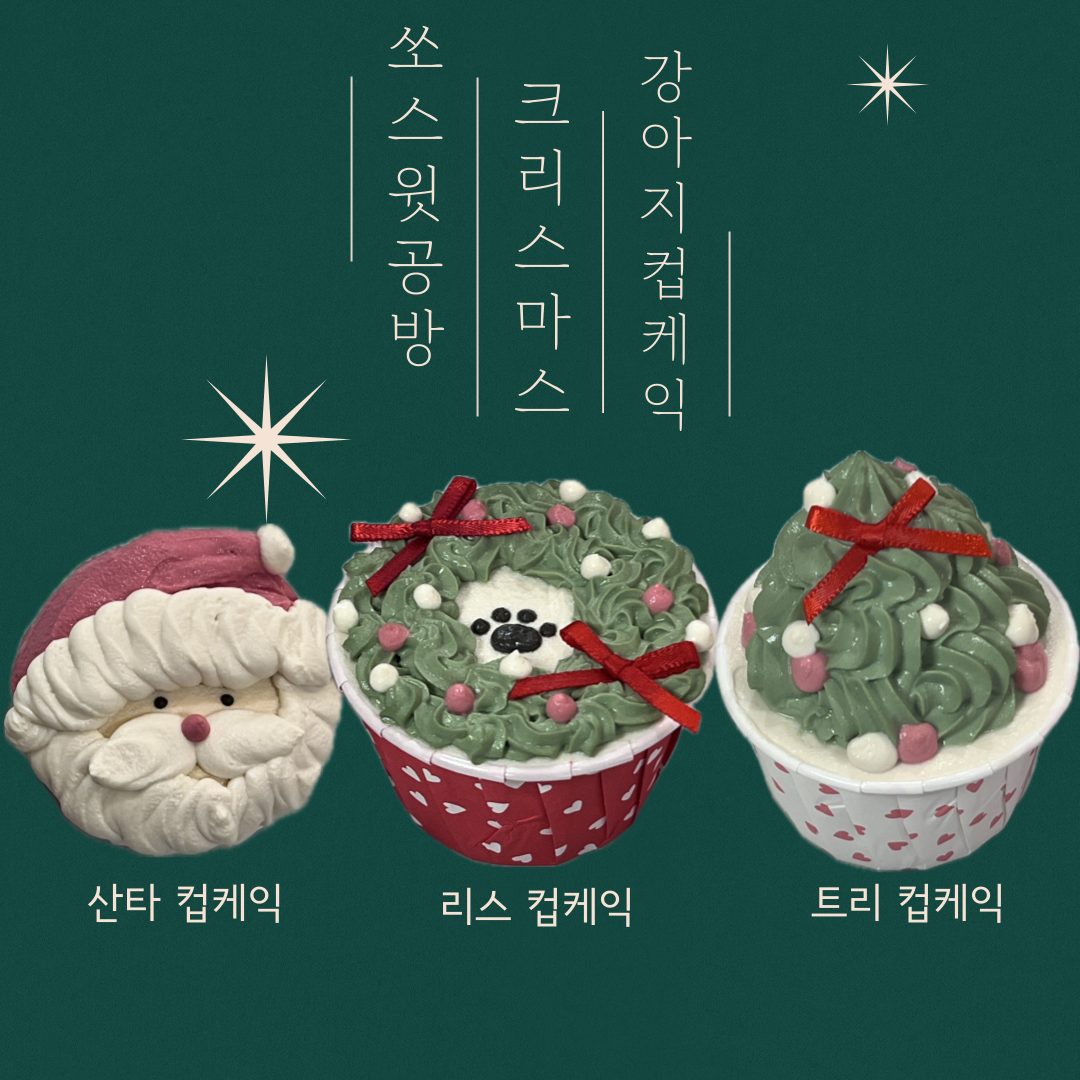 우리 멈머랑 같이 크리스마스 파티💚🎄