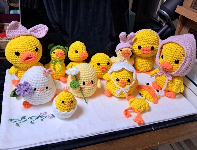 삐약이와 오순이들 🐥🐤🐣