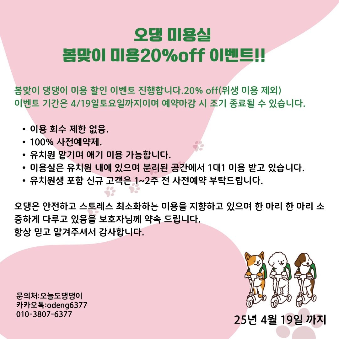 봄맞이 미용(목욕포함) 20% 할인이벤트