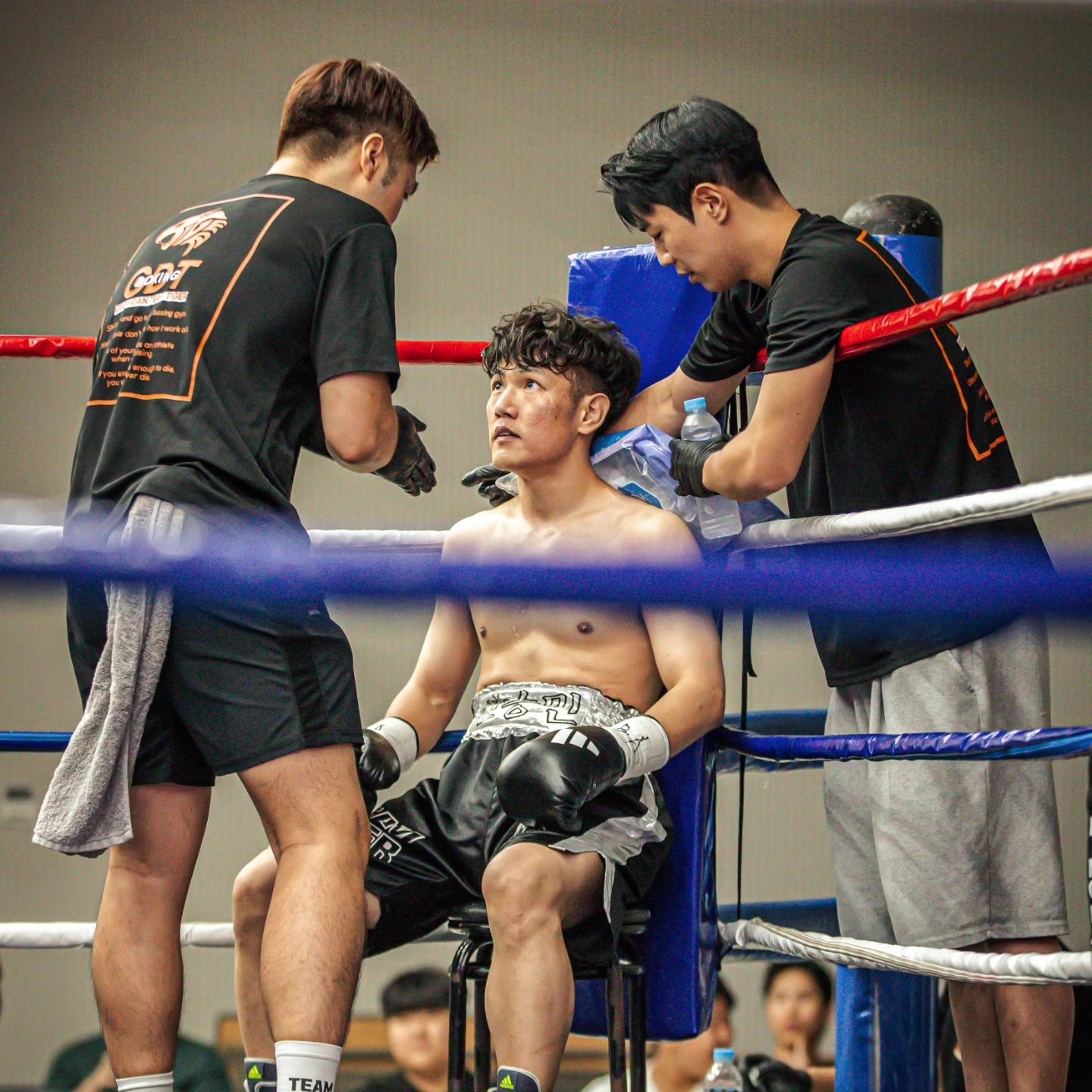 검단팀타이거복싱짐 picture 6