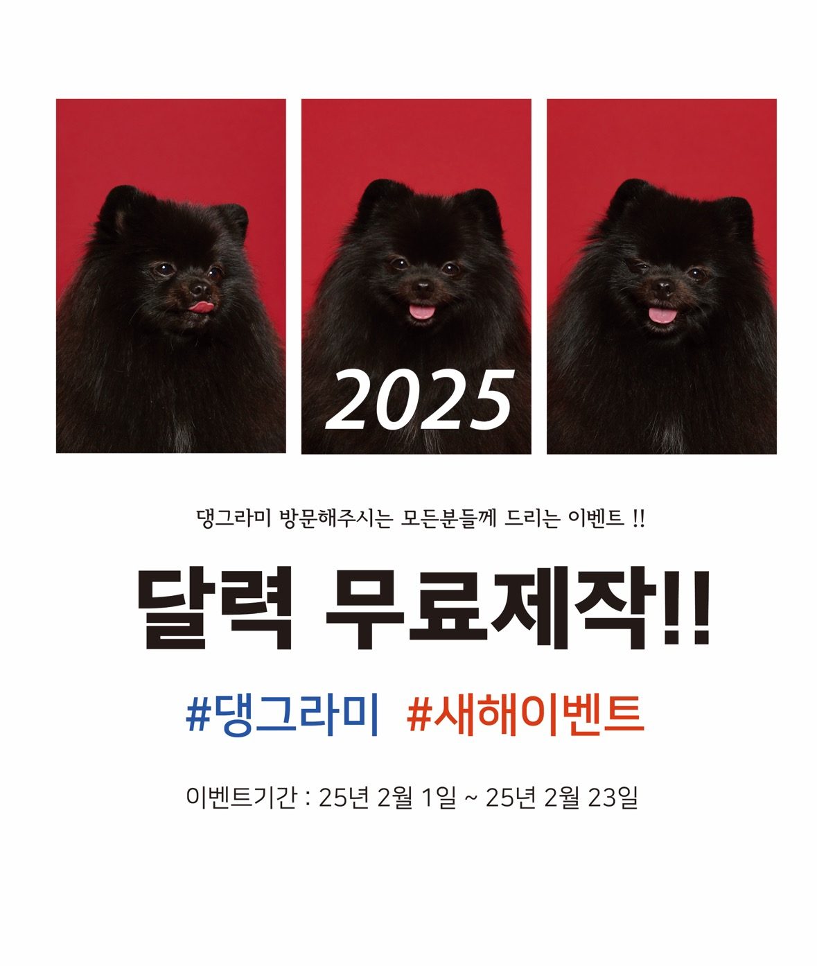 2025년 댕그라미 무료달력제작 이벤트