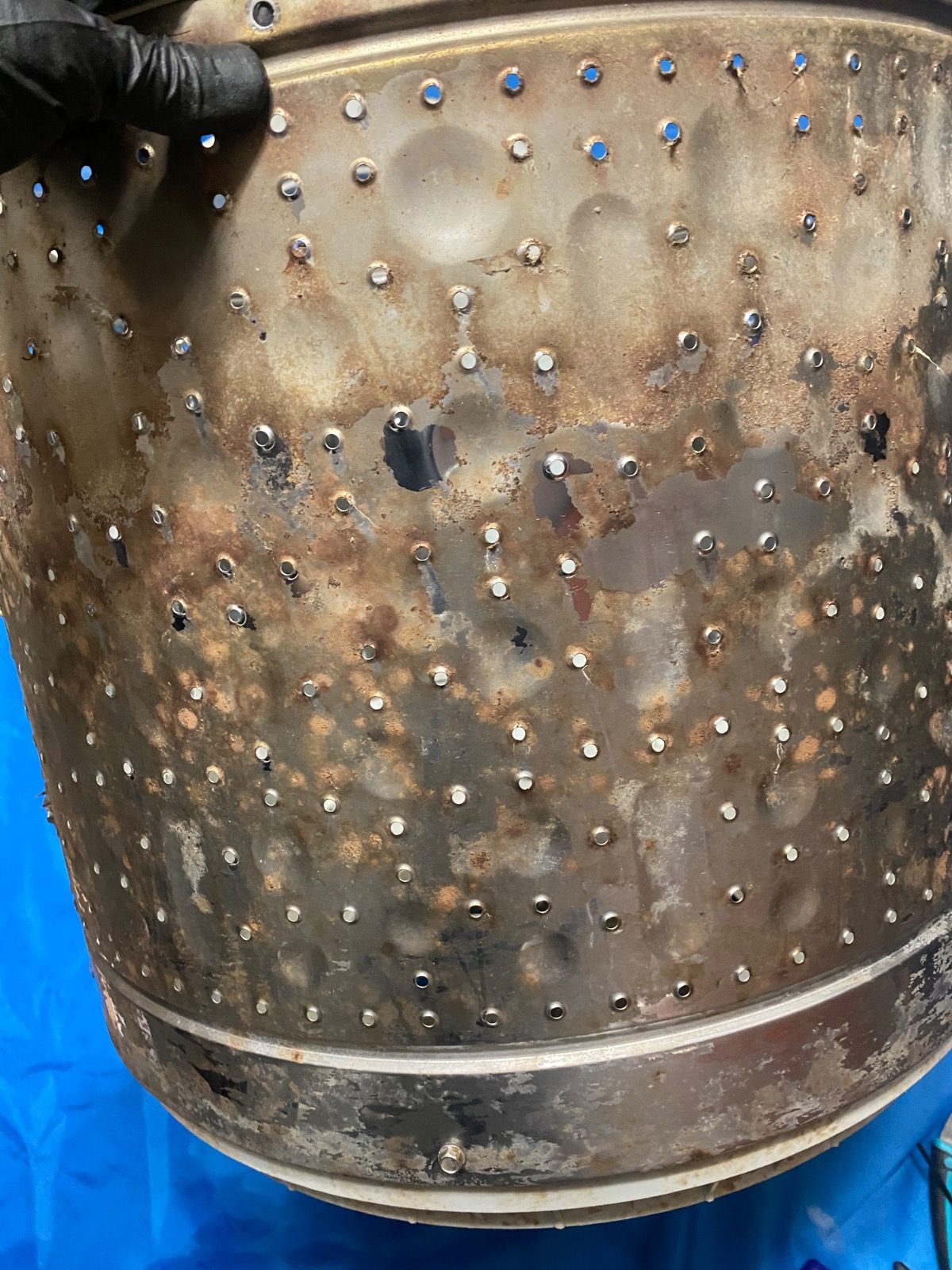 1년만에 세탁기가 이만큼 오염된다고요?