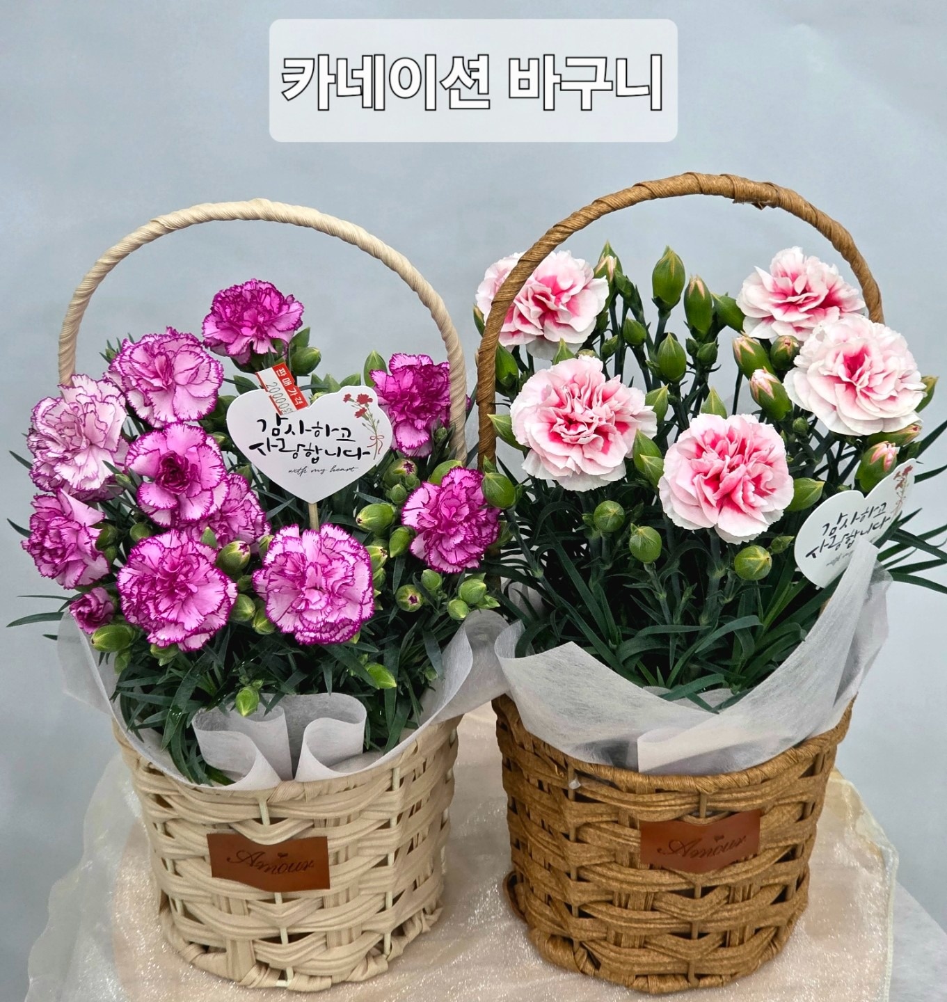 꽃피는정원 picture 7