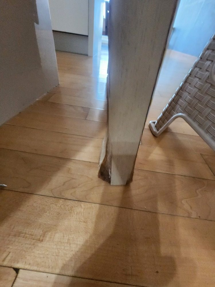 불어버린 욕실문.. 참고 사용하고 계신가요?