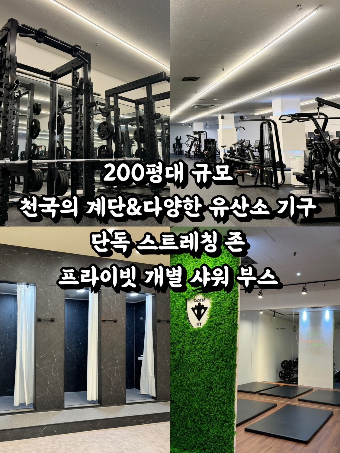 캐슬핏 휘트니스 picture 5