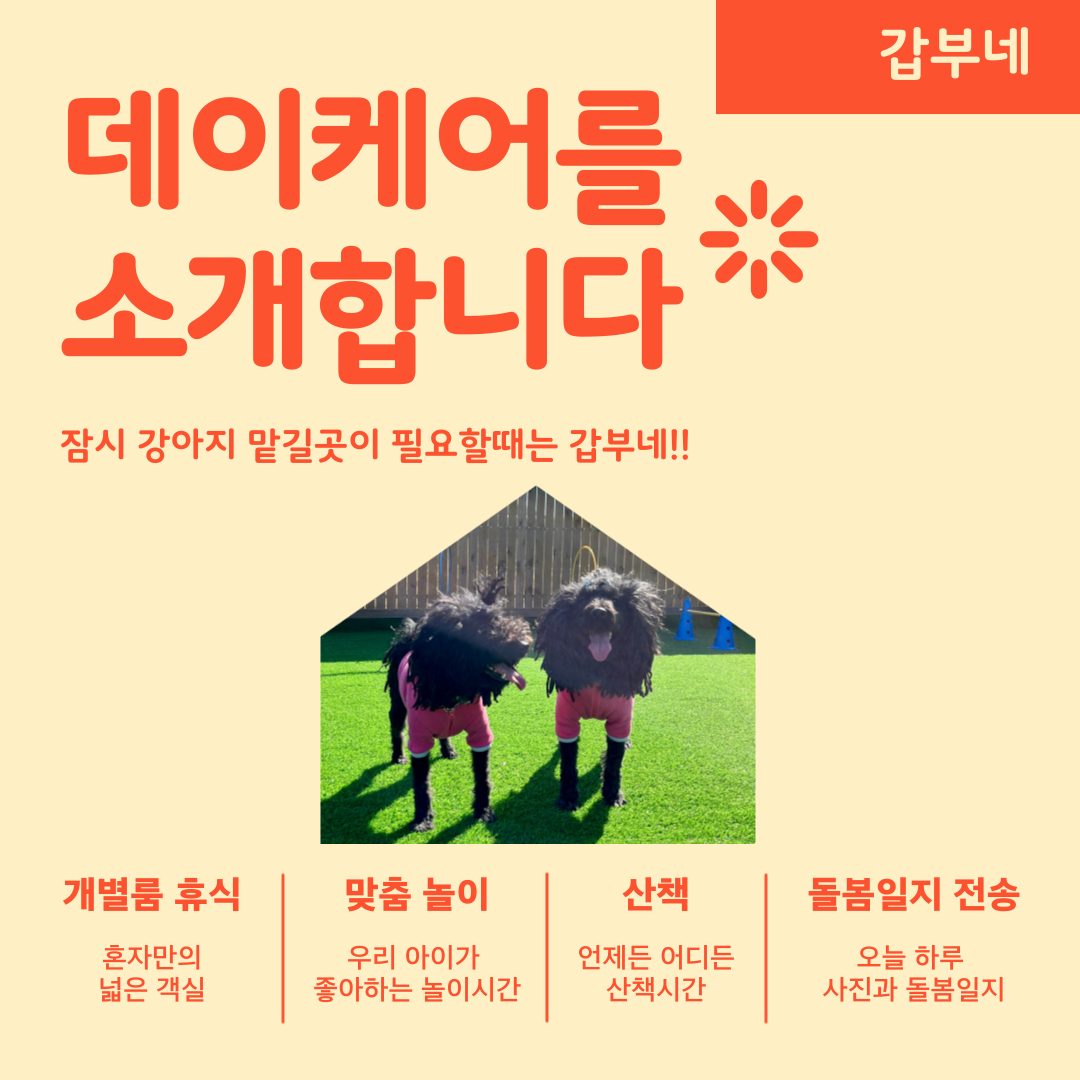 갑부네 데이케어를 소개합니다!!