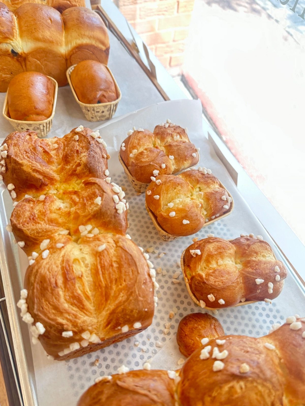 식빵 나왔습니당🍞🍞🍞