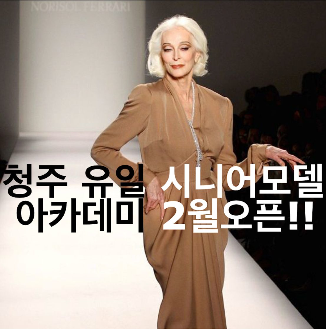 ✨청주 시니어모델 아카데미 ➡️ 여기서만 35% 할인 받기