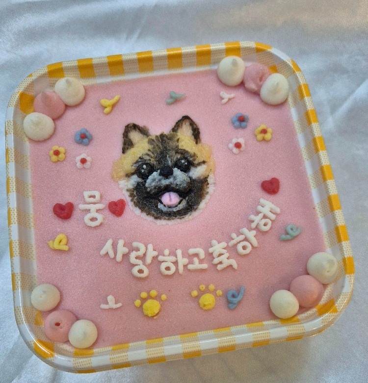 강아지케이크 수제간식전문점 테리네간식 picture 1