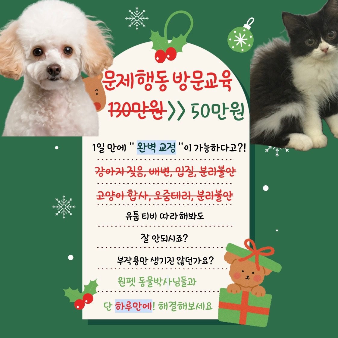 개, 고양이 문제행동 - 티비보고 따라해도 안된다고요? 