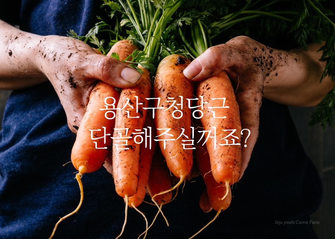 용산구청 picture 5