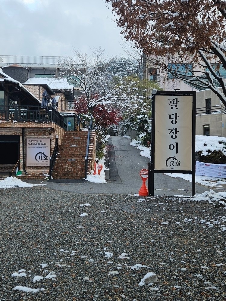 팔당장어 picture 4