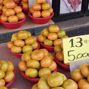 대봉감 🍊연시 🍊호박고구마 🍠꿀고구마 🍠귤 🍊단감 🍊사과 🍎 