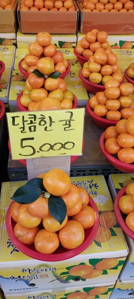 타이백 귤 🍊 ~5000