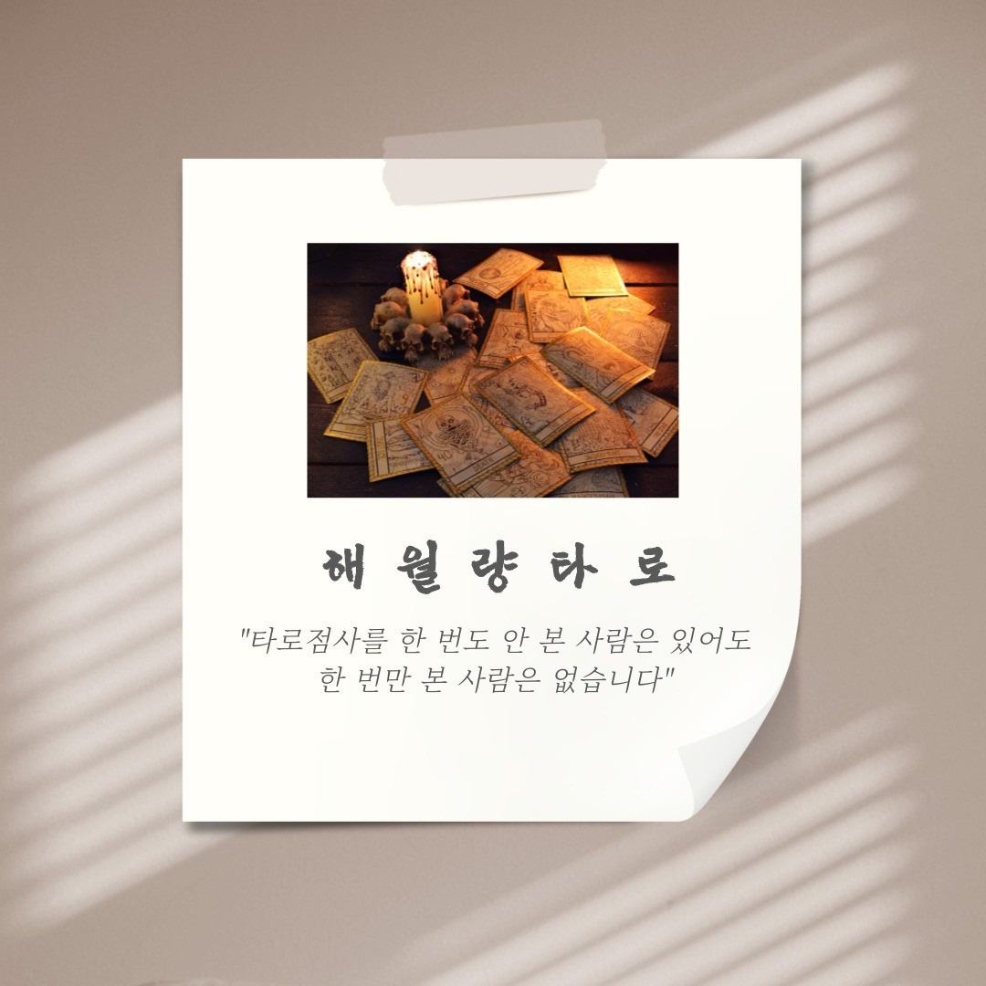 해월량 타로 picture 5