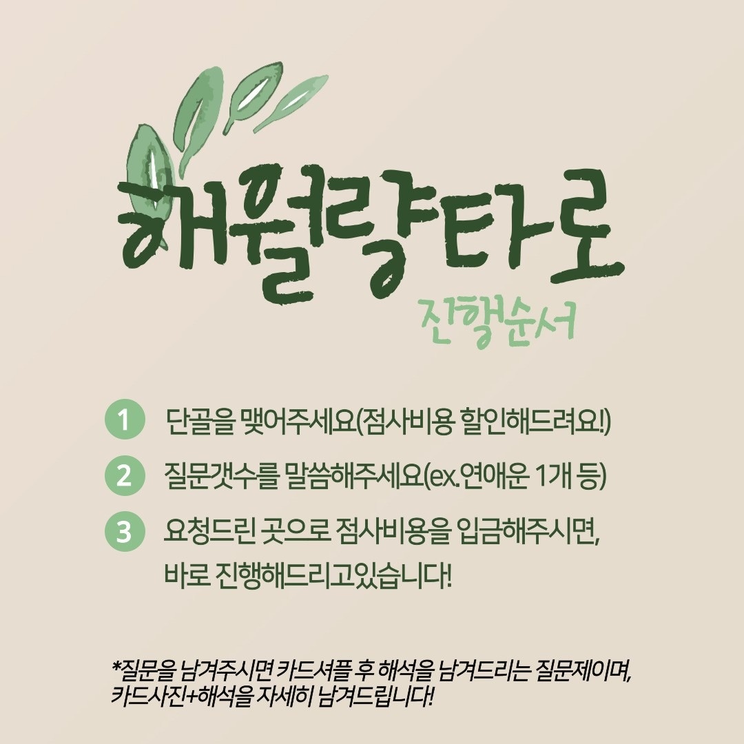 해월량 타로 picture 4