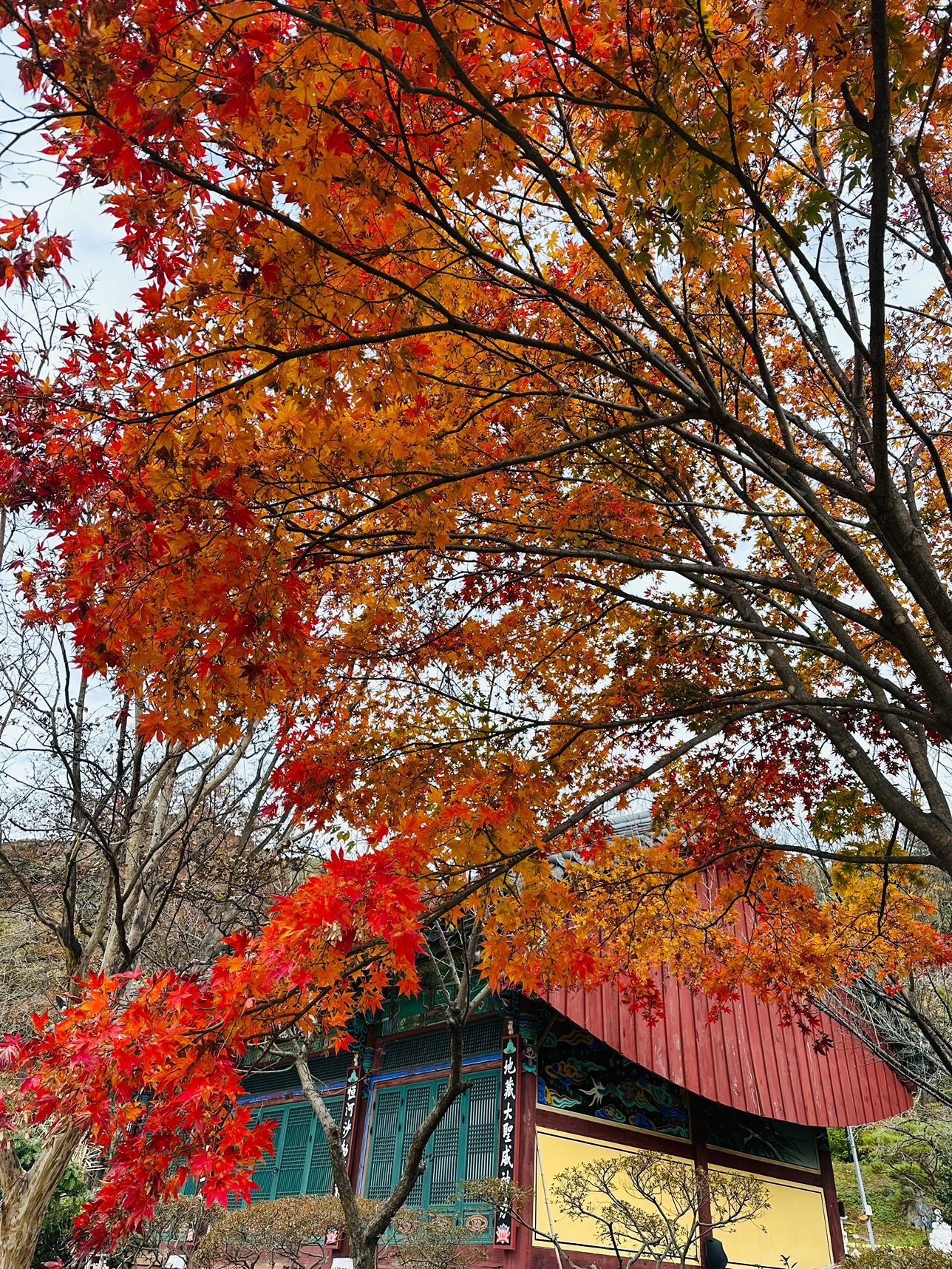 🍁가을의 끝자락🍁 