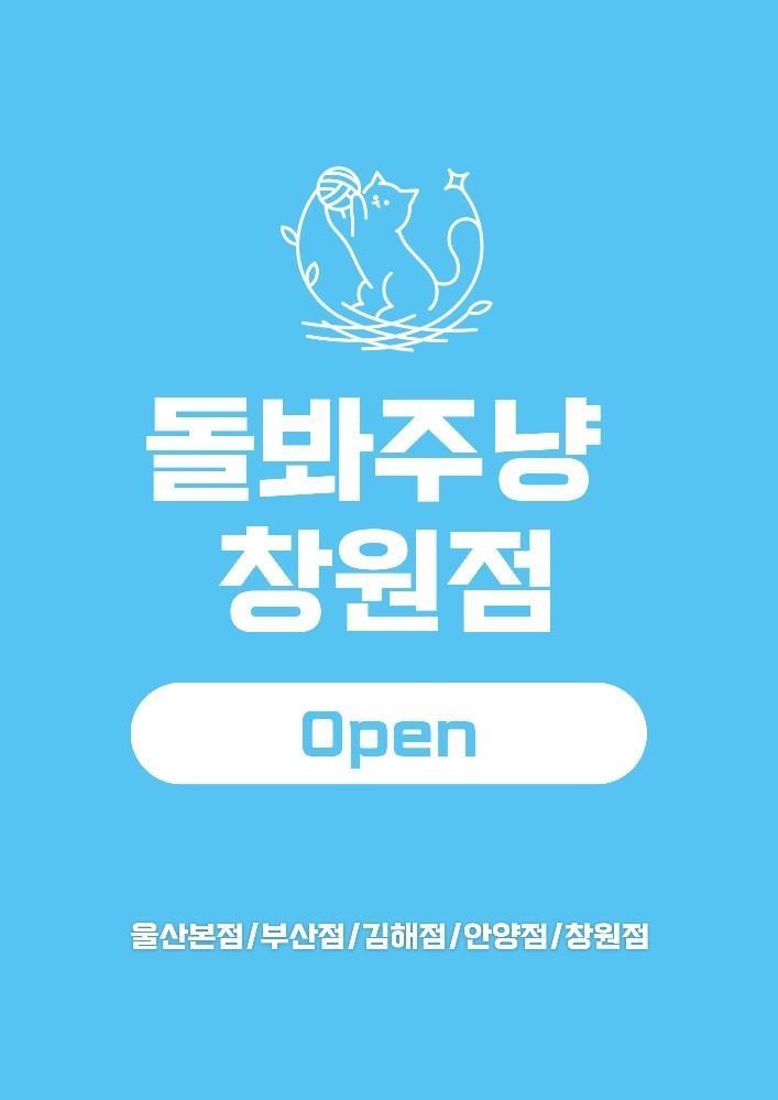 전국 체인 돌봐주냥 창원점 Open