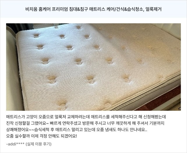 비치움 포그니아 picture 2